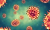 توصیه های  ISQua  در پیشگیری از ابتلا به ویروس کرونا